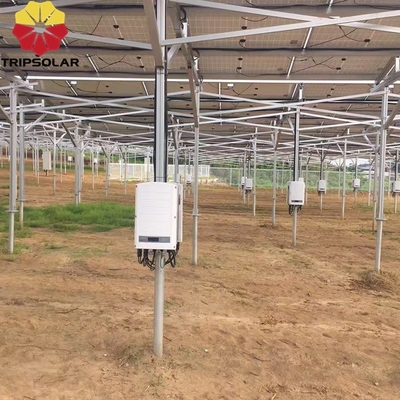 Sito di installazione in campi aperti Sistema di montaggio a terra con sistema di montaggio a terra con progetto personalizzato