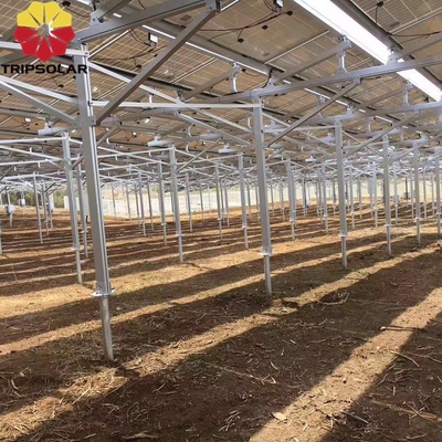 Sito di installazione in campi aperti Sistema di montaggio a terra con sistema di montaggio a terra con progetto personalizzato